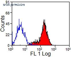 OriGene AM01043FC-N image 1
