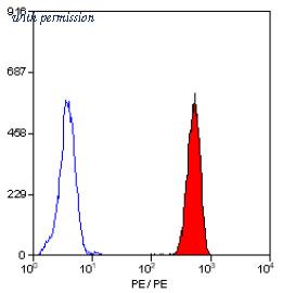 OriGene AM01051RP-N image 1