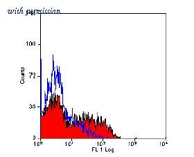 OriGene AM01064RP-N image 1