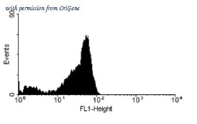 OriGene AM01066FC-N image 1