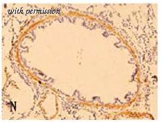 OriGene AM02222PU-S image 1