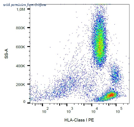 OriGene AM03005FC-N image 1