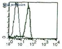 OriGene AM03022PP-N image 1