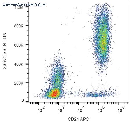 OriGene AM03032AC-N image 1