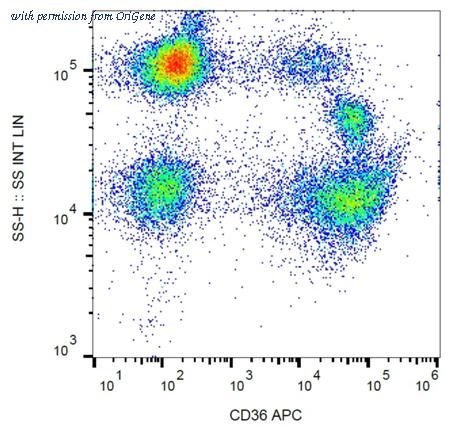 OriGene AM03058AC-N image 1