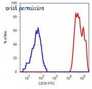 OriGene AM03058RP-N image 1