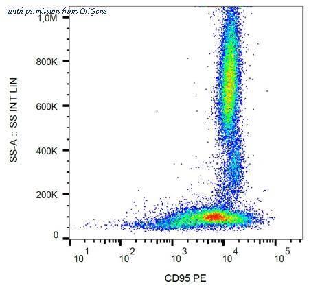 OriGene AM03061RP-N image 1