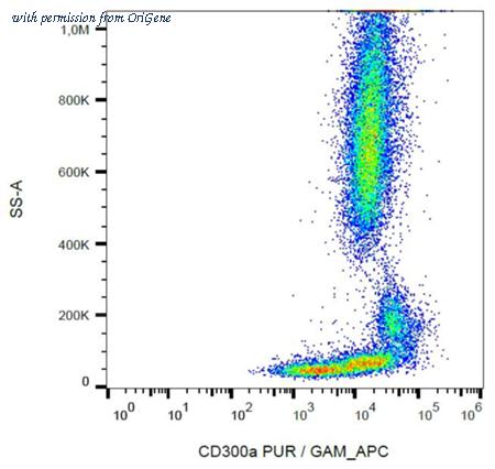 OriGene AM03062PU-N image 1