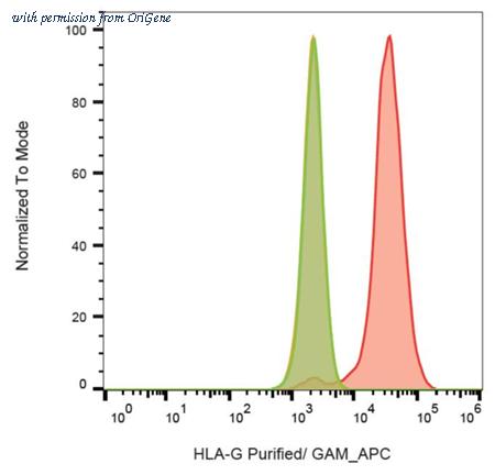 OriGene AM03082PU-N image 1
