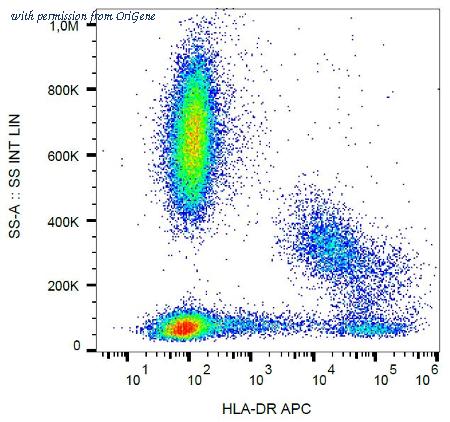 OriGene AM03101AC-N image 1