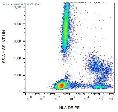 OriGene AM03101RP-N image 1