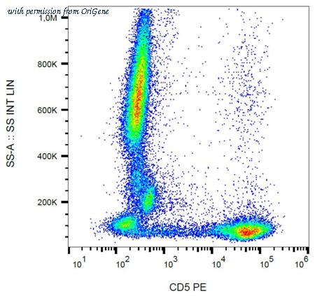OriGene AM03103RP-N image 1