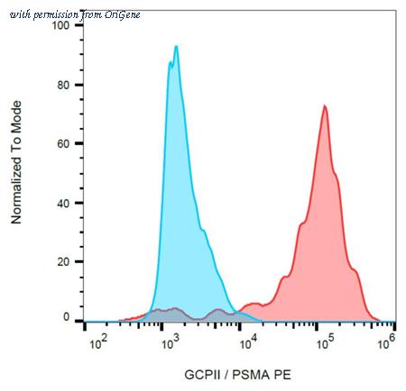 OriGene AM03114RP-N image 1