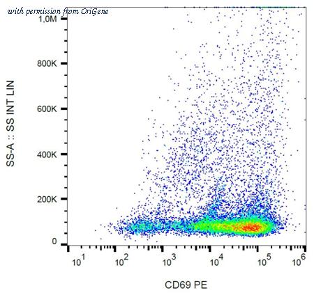 OriGene AM03132RP-N image 1
