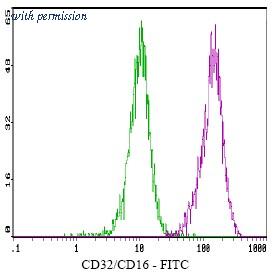OriGene AM03136BT-L image 1