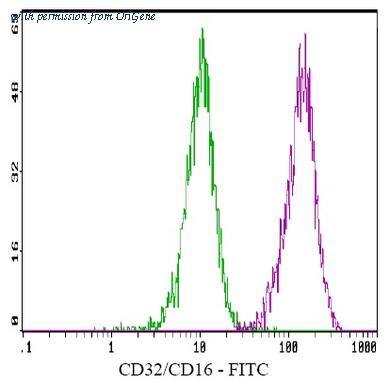 OriGene AM03136FC-L image 1