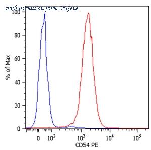 OriGene AM03205AF-N image 1