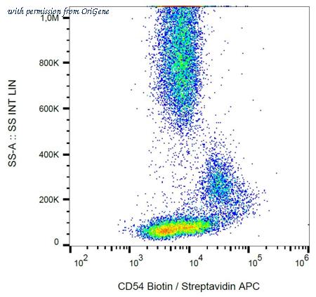 OriGene AM03205BT-N image 1