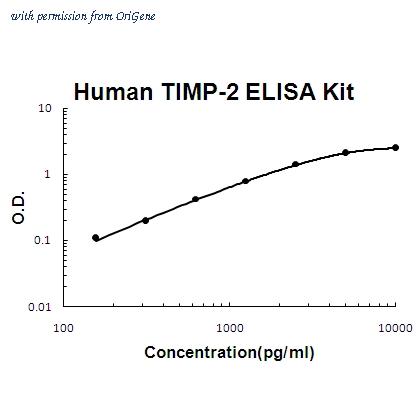 OriGene AM06367PU-N image 1