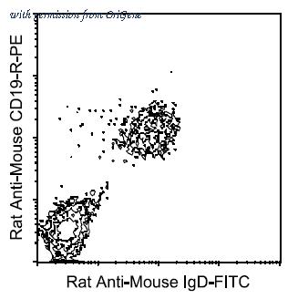 OriGene AM08012FC-N image 1