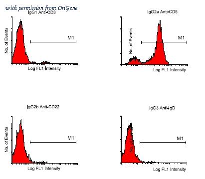 OriGene AM08017FC-N image 1