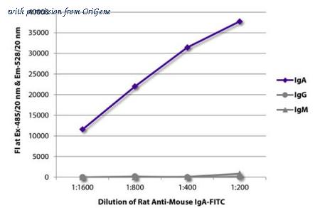 OriGene AM08018FC-N image 1