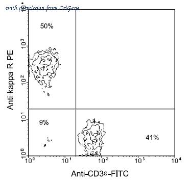 OriGene AM08020RP-S image 1
