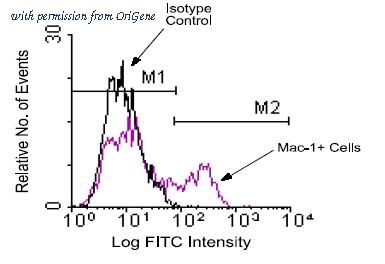 OriGene AM08031PU-N image 1