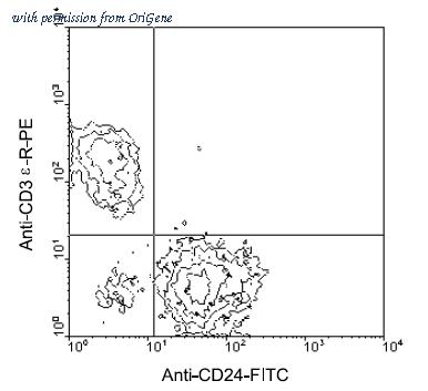 OriGene AM08034FC-N image 1