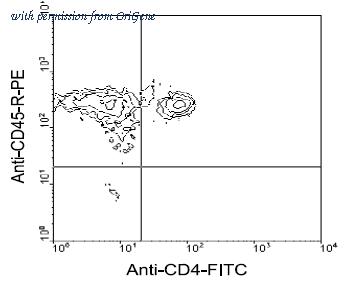 OriGene AM08044RP-N image 1
