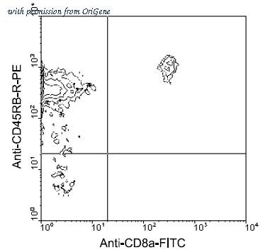 OriGene AM08045RP-N image 1