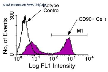 OriGene AM08054FC-N image 1