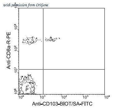 OriGene AM08068BT-N image 1