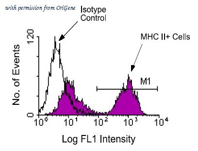 OriGene AM08075FC-N image 1