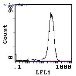 OriGene AM08081FC-S image 1