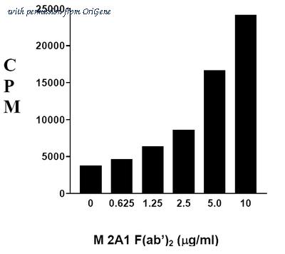 OriGene AM08096PU-N image 1