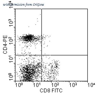 OriGene AM08106RP-N image 1