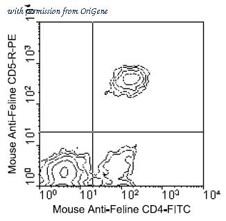 OriGene AM08111RP-N image 1