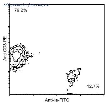 OriGene AM08124FC-N image 1