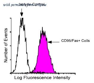 OriGene AM08165FC-N image 1