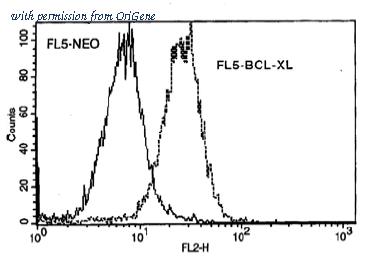 OriGene AM08172PU-N image 1