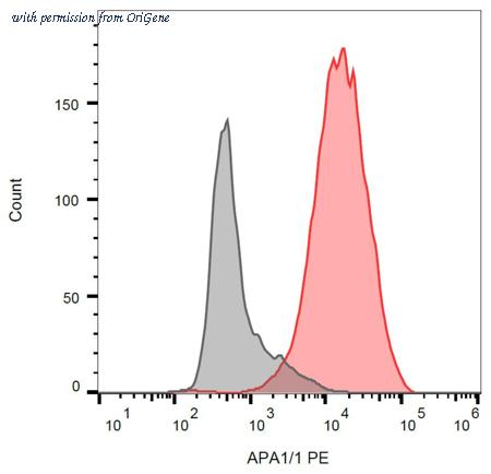 OriGene AM12005PE-N image 1