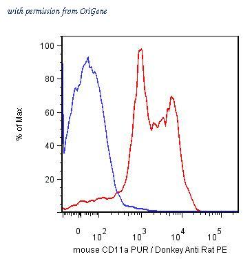 OriGene AM12064LE-N image 1