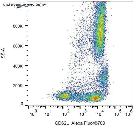 OriGene AM12066PU-N image 1