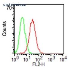 OriGene AM20322PU-S image 1