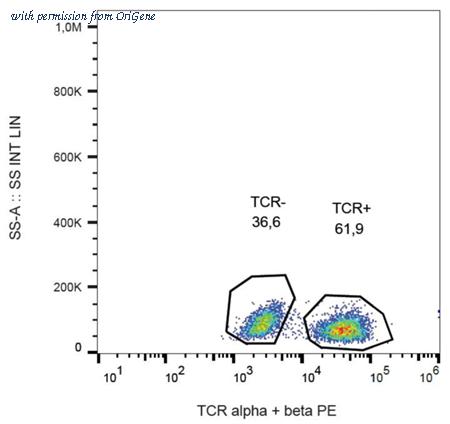 OriGene AM26003RP-N image 1