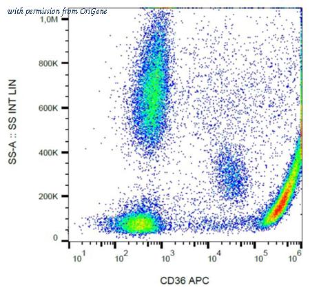 OriGene AM26005AC-N image 1