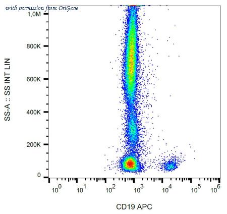 OriGene AM26006AC-N image 1