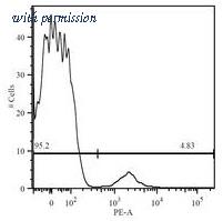 OriGene AM26006FC-N image 1