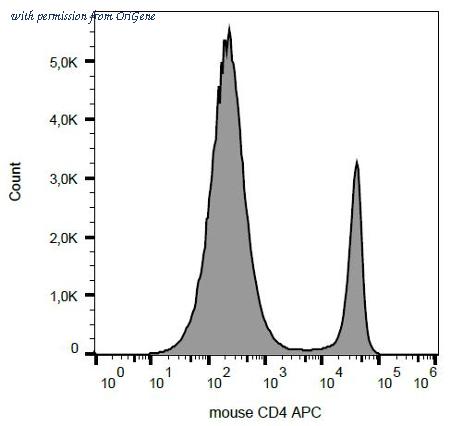 OriGene AM26029AC-N image 1